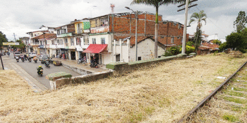 Empezaron las podas; por fin, atienden el llamado de la comunidad