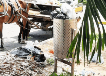 La  incultura en su máxima expresión