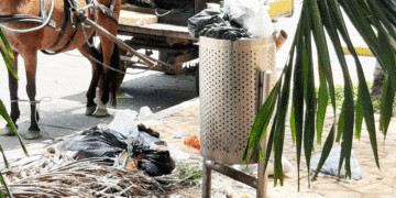 La  incultura en su máxima expresión