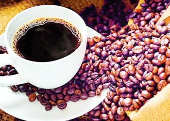 Nueva apuesta por el café; asignarán recursos para renovar los cultivos