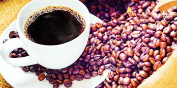 Nueva apuesta por el café; asignarán recursos para renovar los cultivos