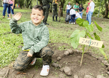 Nuevos árboles para el parque La Merced