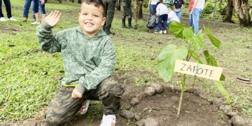 Nuevos árboles para el parque La Merced