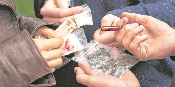 Revisan consumo de sustancias psicoactivas; procuraduría de la nación pidió mayor compromiso