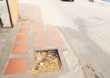 ¡No es un hueco, es una trampa!