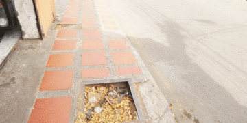 ¡No es un hueco, es una trampa!