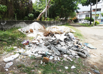 Calle arriba, calle abajo en el barrio El Bosque