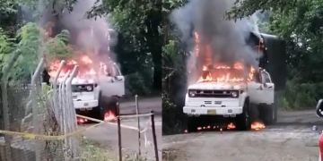 Camión para transporte de pollos fue incinerado en Andalucía