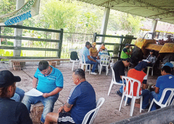 Campesinos de Buga se capacitan en nuevas técnicas agrícolas; Cerro Rico respondió al llamado