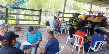 Campesinos de Buga se capacitan en nuevas técnicas agrícolas; Cerro Rico respondió al llamado