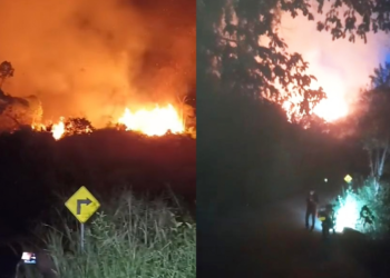 Incendio forestal en El Tablazo, Riofrío, sin respuesta de bomberos debido a paralización de actividades