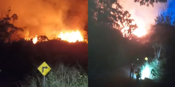 Incendio forestal en El Tablazo, Riofrío, sin respuesta de bomberos debido a paralización de actividades