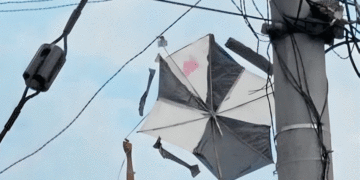 Menor de edad muere electrocutado al intentar rescatar una cometa enredada