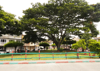 Nueva sección de EL TABLOIDE calle arriba, calle abajo en los barrios