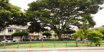 Nueva sección de EL TABLOIDE calle arriba, calle abajo en los barrios