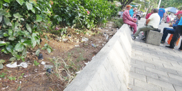 Plaza Cívica Boyacá es un muladar; deterioro de las zonas verdes es acelerado