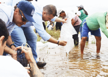 Sembratón de peces en el Lago Calima