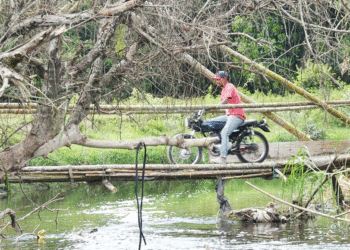 Una solución a la colombiana que vale la pena destacar