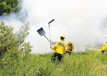 «A los bomberos nos dejaron solos»: comandante del organismo en Sevilla