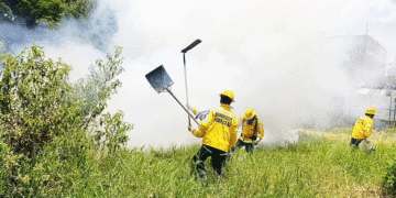 «A los bomberos nos dejaron solos»: comandante del organismo en Sevilla
