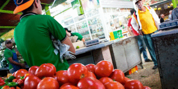 Alimentos que subieron de precio tras paro de camioneros