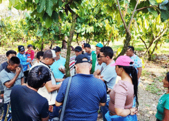 Cacaoteros aprenden más de la actividad agrícola