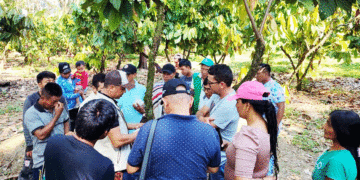 Cacaoteros aprenden más de la actividad agrícola