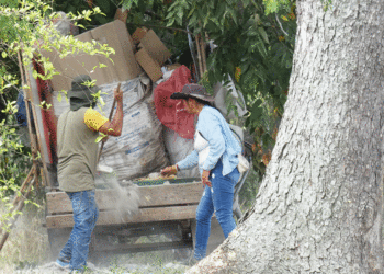 Cogidos con las manos en la masa
