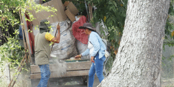 Cogidos con las manos en la masa