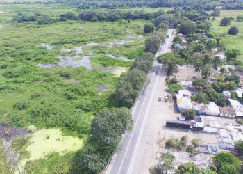 Diseño de la vía Buga-Loboguerrero podría sufrir cambios para evitar la tala de 600 árboles