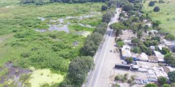 Diseño de la vía Buga-Loboguerrero podría sufrir cambios para evitar la tala de 600 árboles