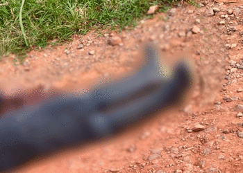 Doble homicidio en zona rural de Tuluá; pareja fue encontrada sin vida en plena vía