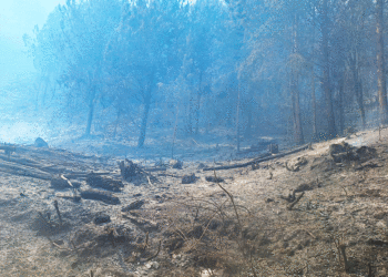 Más de 80 personas combaten las llamas en la alta montaña tulueña