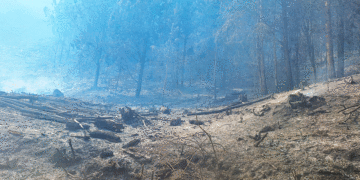 Más de 80 personas combaten las llamas en la alta montaña tulueña