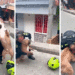 Polémica en Manizales por la muerte de un perro pitbull a manos de la policía