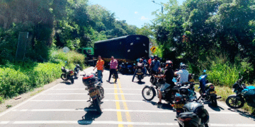 «Por favor, hagan mercado»: camioneros advierten a ciudadanos por paro, que va para largo en el país