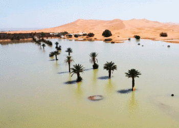 Desierto del Sahara se inunda por primera vez en décadas: ¿Cuál es la razón?