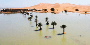 Desierto del Sahara se inunda por primera vez en décadas: ¿Cuál es la razón?
