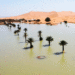 Desierto del Sahara se inunda por primera vez en décadas: ¿Cuál es la razón?