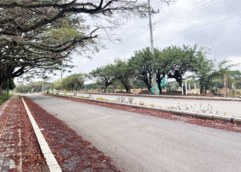 Doble calzada que da acceso a Roldanillo va en un 50 por ciento