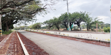 Doble calzada que da acceso a Roldanillo va en un 50 por ciento