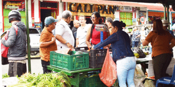 En Sevilla se trabaja en el fortalecimiento de mercado campesino