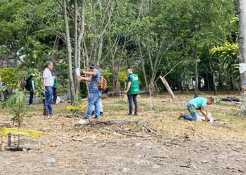 Jornada de arborización favoreció a la comunidad del barrio Avenida Cali en Tuluá