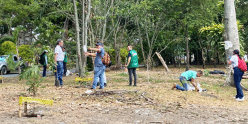 Jornada de arborización favoreció a la comunidad del barrio Avenida Cali en Tuluá