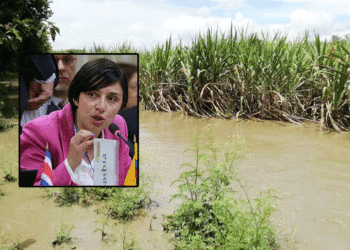 Ministra de Agricultura dijo que sí hay recursos para mitigar pérdidas por efectos del clima