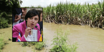 Ministra de Agricultura dijo que sí hay recursos para mitigar pérdidas por efectos del clima