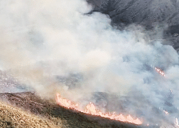 Planes y el dopo estuvieron varios días bajo el fuego