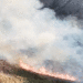 Planes y el dopo estuvieron varios días bajo el fuego