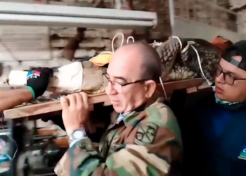 Rescatan cocodrilo de 2.67 metros en Palmira; lo tenían en el patio de una vivienda