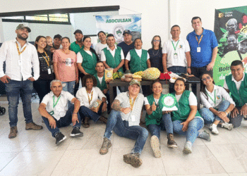Campesinos de Bolívar transformaron sus cultivos ilícitos